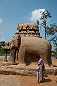 Mamallapuram - Tamil Nadu. The five Rathas. Elephant carved  from a single stone. 
